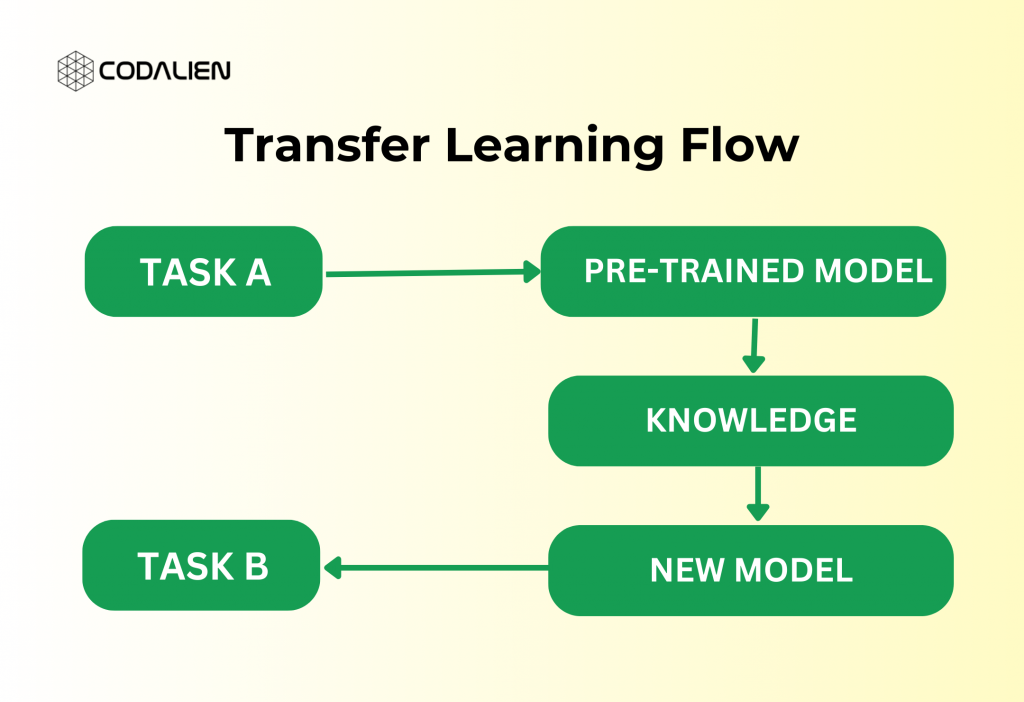 How transfer learning works?