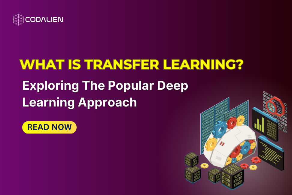 What is Transfer Learning? How Transfer Learning works?