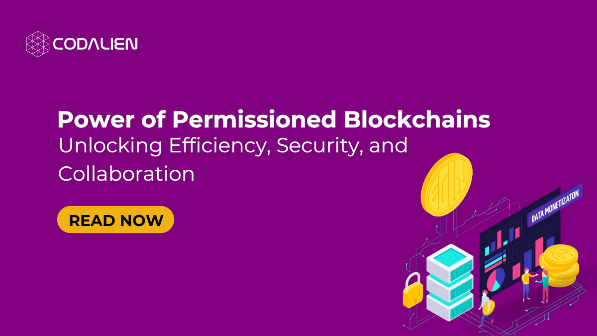 Power of Permissioned Blockchains, Unlocking efficiency, security and collaboration